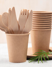 Disposable Tableware