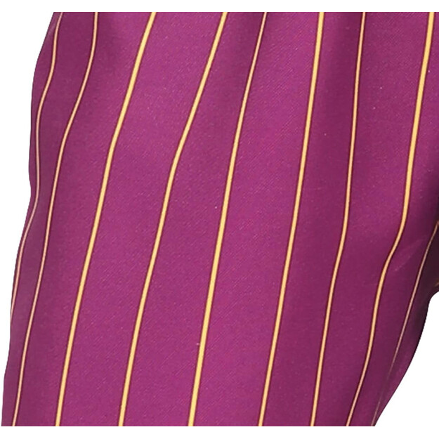 Berniuko išdykėlio džesterio kostiumas