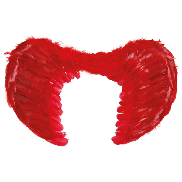 Punaiset sulat siivet, 60x50 cm