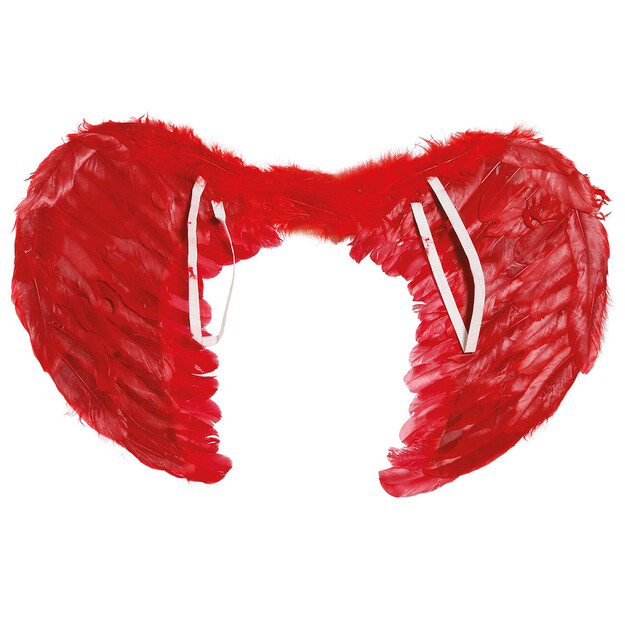 Punaiset sulat siivet, 60x50 cm