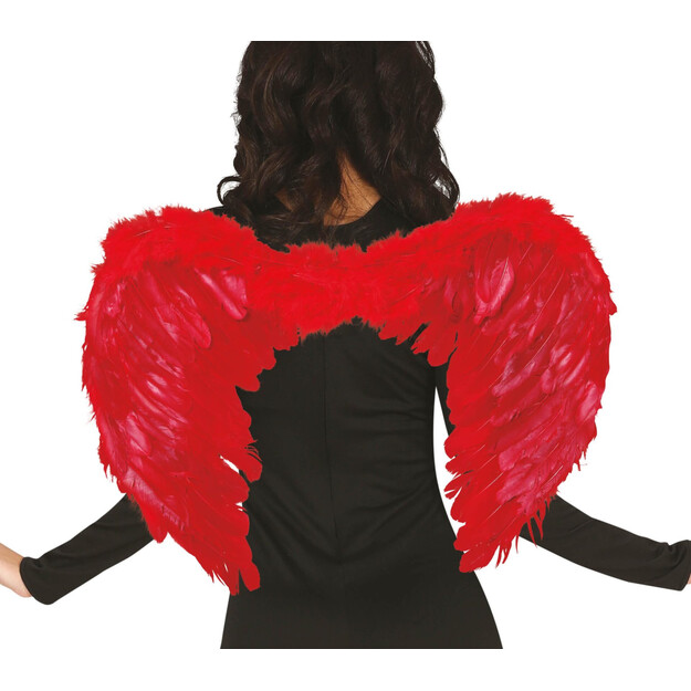 Punaiset sulat siivet, 60x50 cm