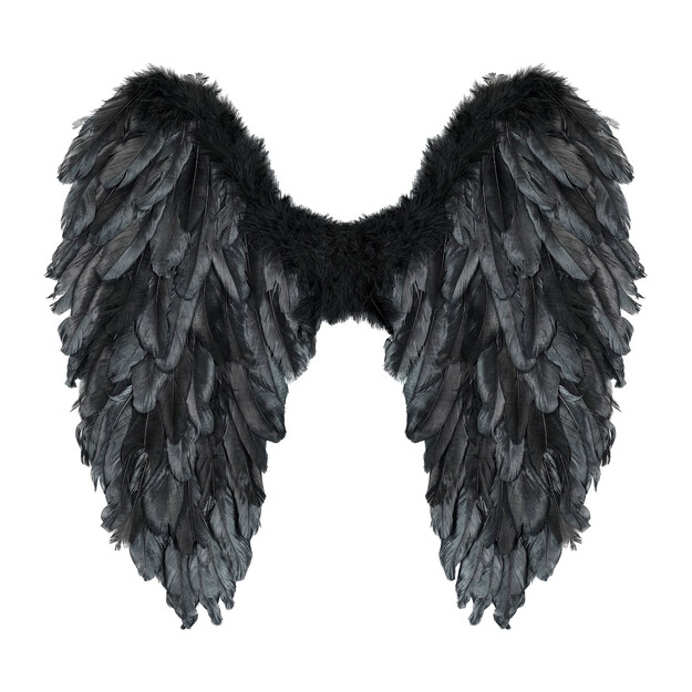 Melni spalvu sparni.