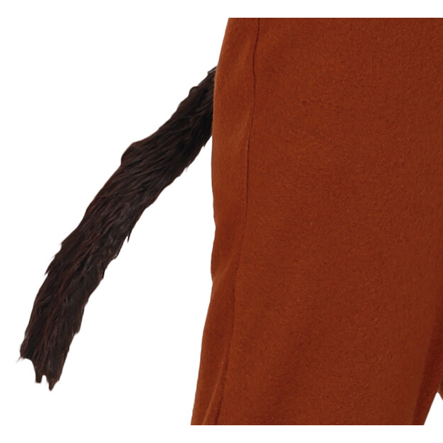 Žirgo kostiumas vaikams