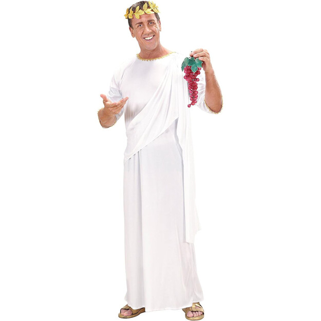 Elegantie un Jautrie Pieaugušo Toga Tērpi Tavai Nākamajai Ballītei!